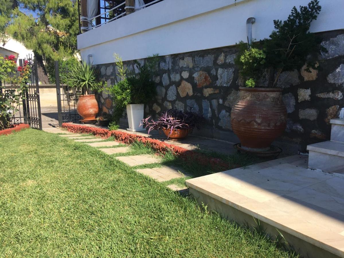 Beautiful Beach House Gerakini Ngoại thất bức ảnh