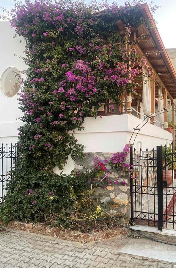 Beautiful Beach House Gerakini Ngoại thất bức ảnh
